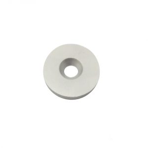 Flush Disc Coupon Two Inch System